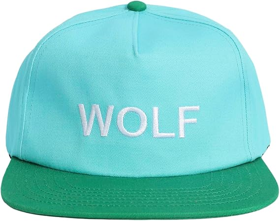 قبعة تايلرز العصرية، قبعات بيس - مراجعة Dad Hat Cotton وسعره