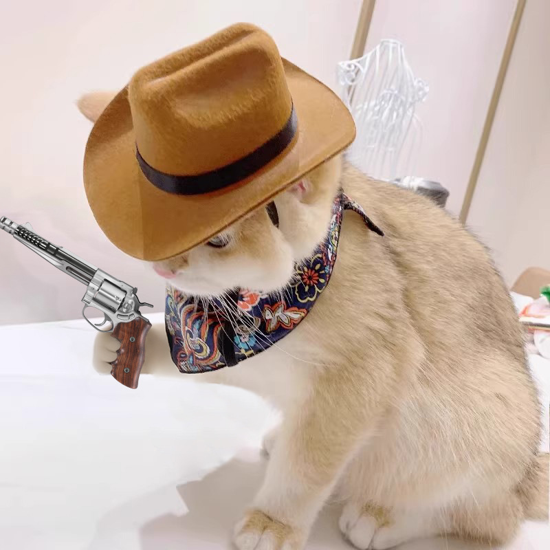    القط قبعة رعاة البقر الحيو - مراجعة Cowboy Hat Straw وسعره